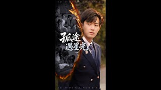 孤途遇星光