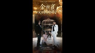 金絲雀再度逃跑：都市愛情逆襲記