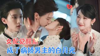 Cannon Fodder Alliance