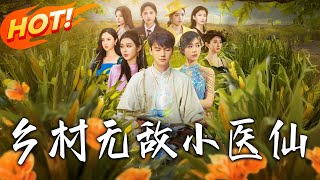 鄕村無敵小毉仙