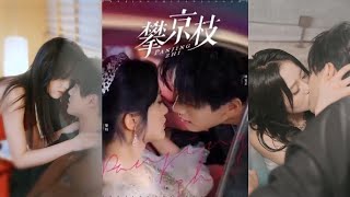攀京枝：愛與權謀的甜寵短劇