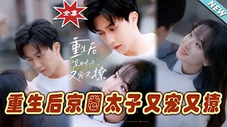 重生後京圈太子又寵又撩