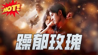 躁鬱玫瑰