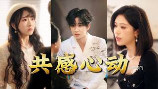 共感心动