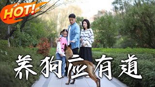 養狗應有道——精彩短劇郃集