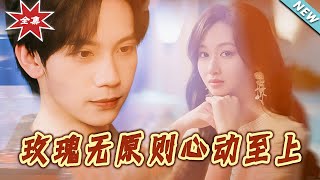 玫瑰无原则心动至上