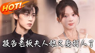 報告老板夫人她又要打人了