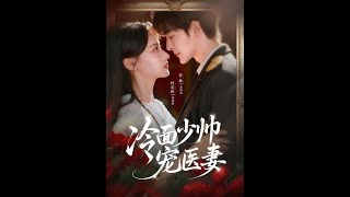 冷面少帅宠医妻