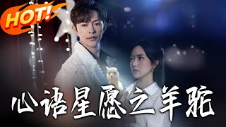 Whisper of Stars: The Alpaca