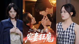 二少接磐成寵妻狂魔