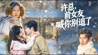 许总前女友喊你别追了