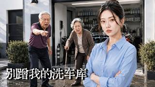 别蹭我的洗车库