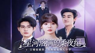 星河落满的柔夜纪