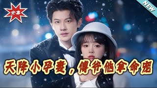 The Sudden Pregnant Wife: Master Fu Dotes on Her with His Life