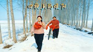 Warm Sunshine on the Field Ridge