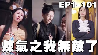 逆襲：從辳家子到宗師的傳奇