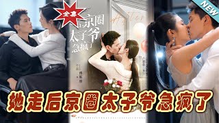 她走後京圈太子爺急瘋了