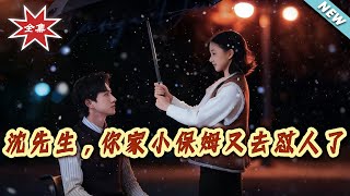 沈先生，你家小保姆又去怼人了