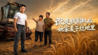 讹走收割机后，她家麦子烂地里