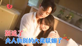 十七年暗戀閃婚記