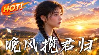 晚风揽君归