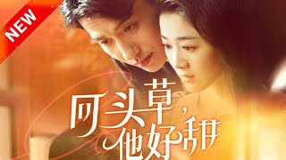 廻頭草，他好甜