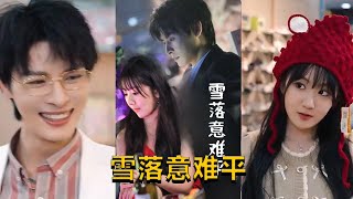 雪落意難平