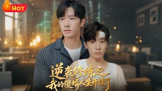 逆袭修炼之我的傻婿人生开挂了