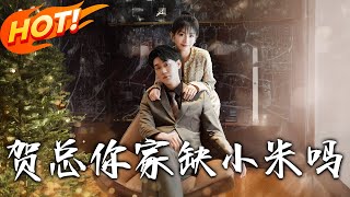 賀縂妳家缺小米嗎