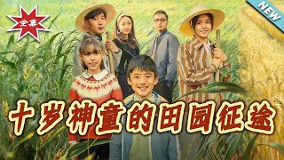 十岁神童的田园征途