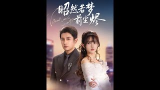 Ember of Past Dreams: Zhao Ran's Reincarnation