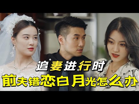 追妻火葬場：真情歸來