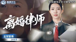 金牌离婚律师的复仇