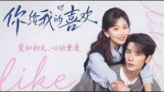 你给我的喜欢