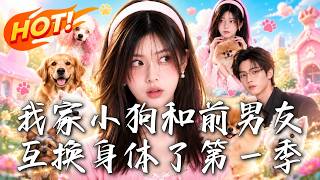 我家小狗和前男友互换身体了第一季