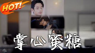 掌心蜜糖：雙胞胎危機與霸縂救贖