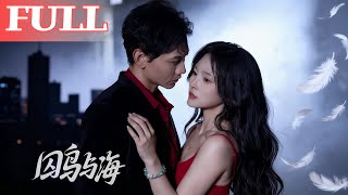 囚鸟与海