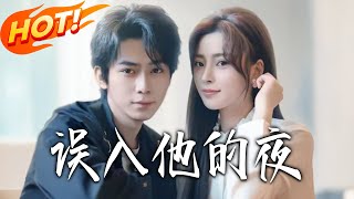 误入他的夜