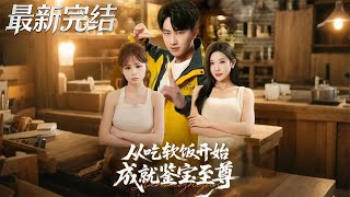 从吃软饭开始成就鉴宝至尊