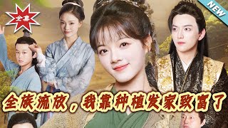 全族流放，我靠種植發家致富了