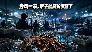 When the Typhoon Came, the King Crab’s High Price Dream Crumbled