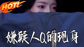 The Appearance of Suspect Q