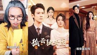 孤云独去闲：逆转人生的兽医