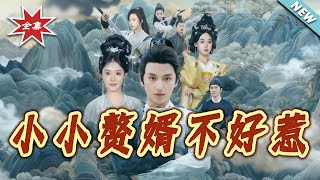 The Little Son-in-Law You Can't Mess With