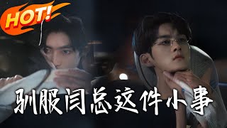 The Little Matter of Taming CEO Yan