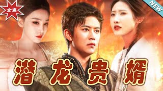 《潛龍貴婿》