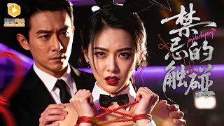 假恋凶子查母仇：偏执哥的前世执念