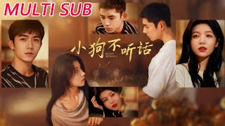 The Disobedient Puppy