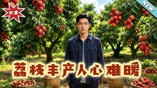 The Lychee Bounty: A Village’s Cold Betrayal