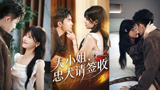 大小姐忠犬请签收